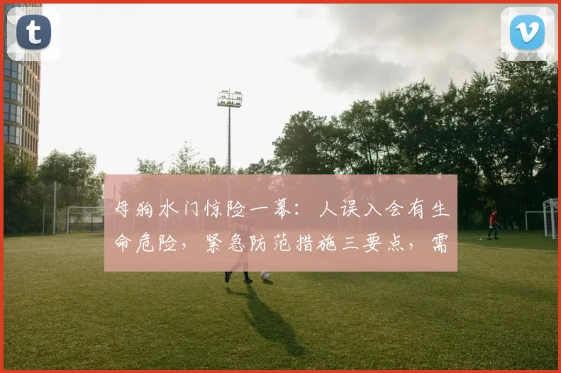母狗水门惊险一幕：人误入会有生命危险，紧急防范措施三要点，需重视