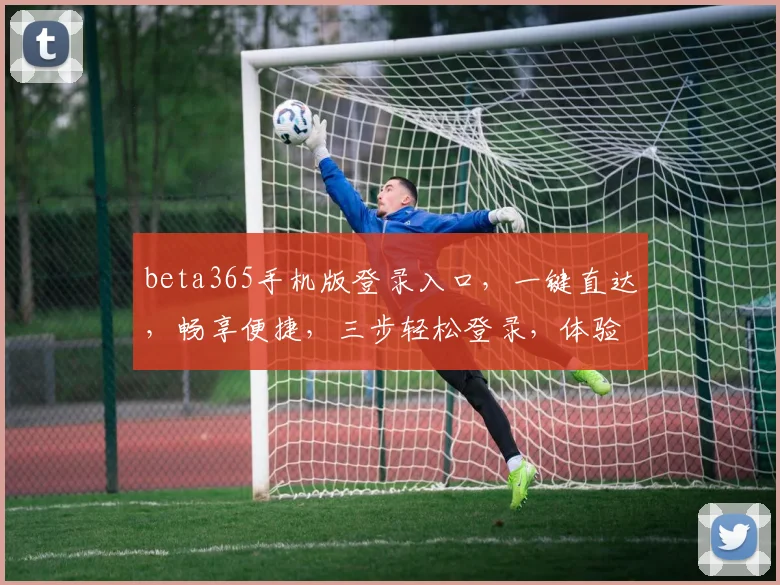 beta365手机版登录入口，一键直达，畅享便捷，三步轻松登录，体验非凡，不容错过