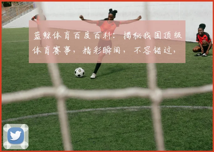 蓝鲸体育百度百科：揭秘我国顶级体育赛事，精彩瞬间，不容错过，三大亮点，深度解析，全面解读