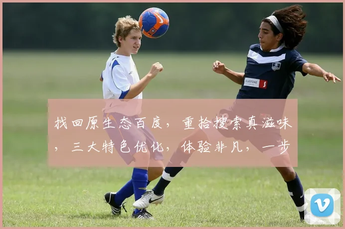 找回原生态百度，重拾搜索真滋味，三大特色优化，体验非凡，一步到位