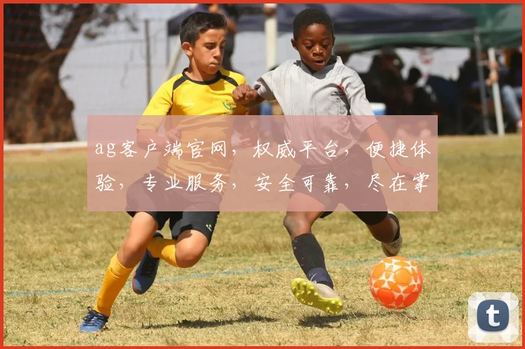 ag客户端官网，权威平台，便捷体验，专业服务，安全可靠，尽在掌握