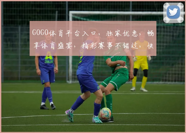 GOGO体育平台入口，独家优惠，畅享体育盛宴，精彩赛事不错过，快来体验